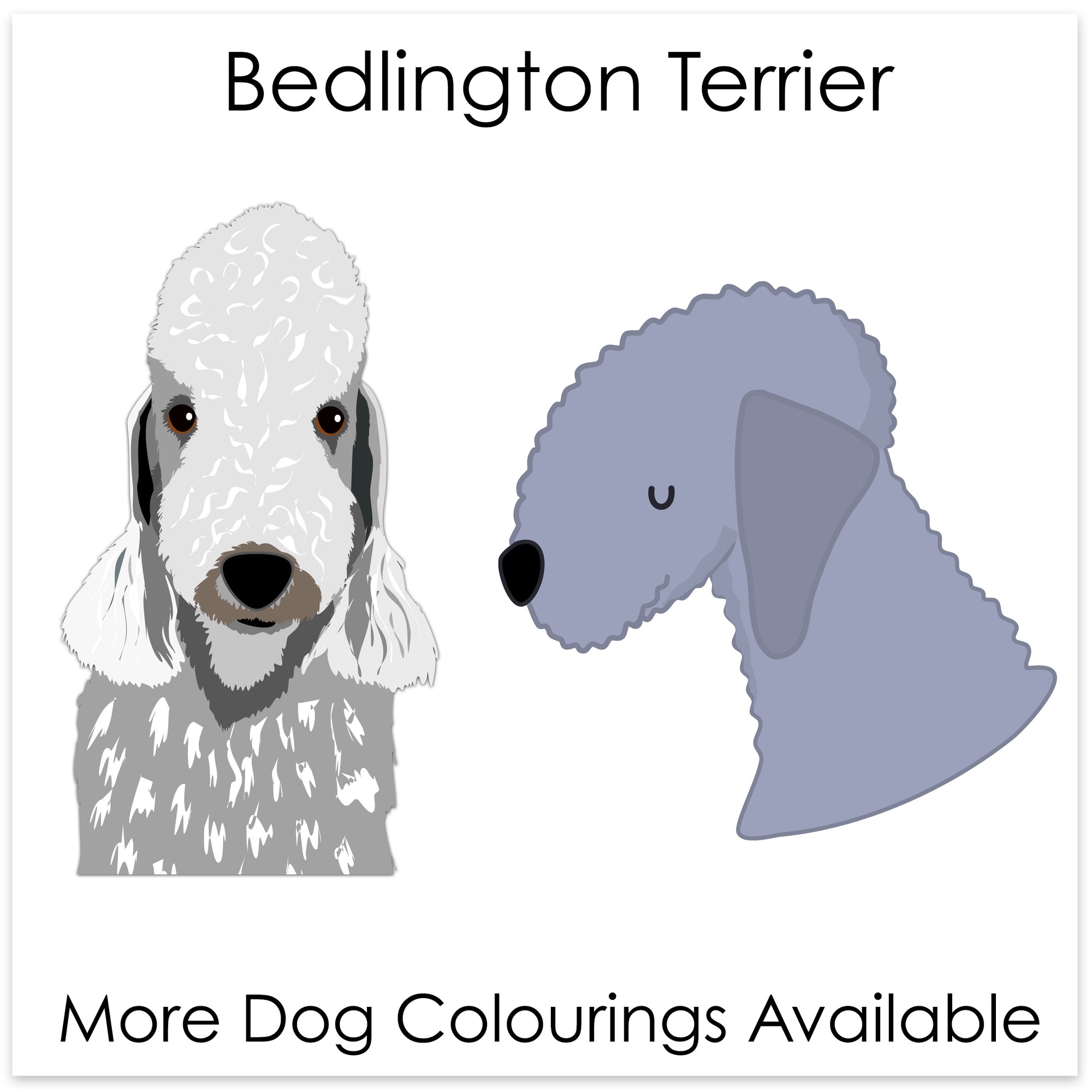 
    Bedlington Terrier
  