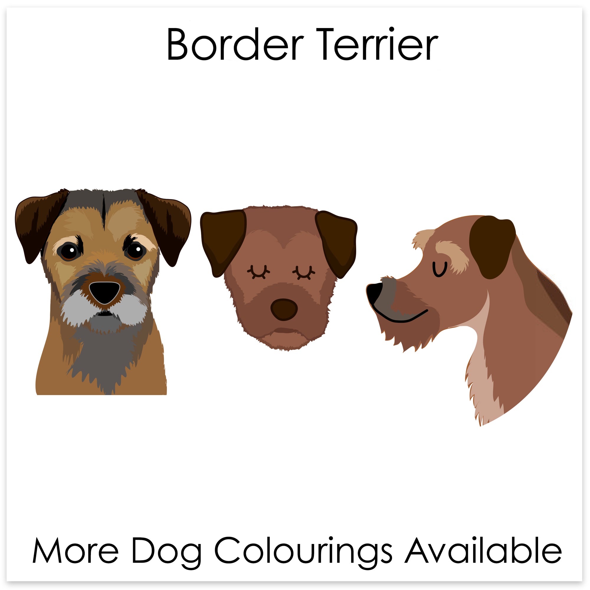 
    Border Terrier
  
