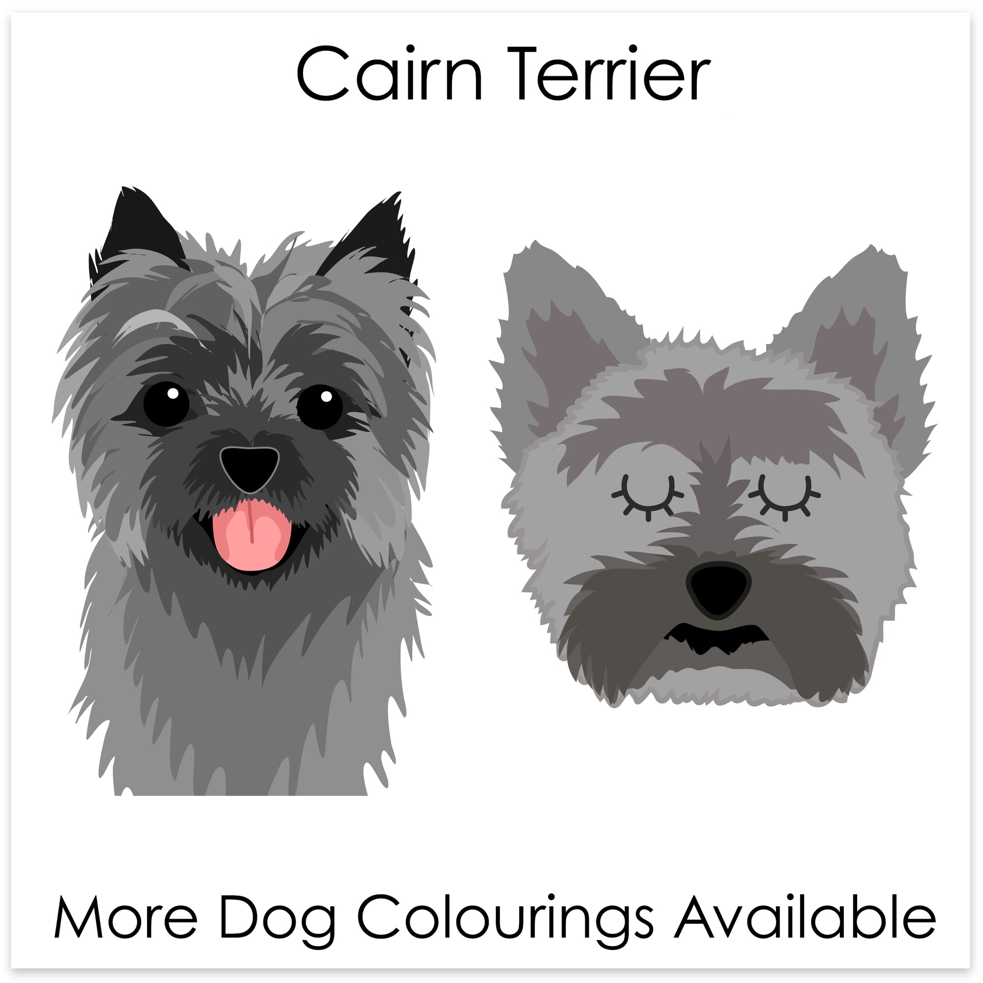 
    Cairn Terrier
  