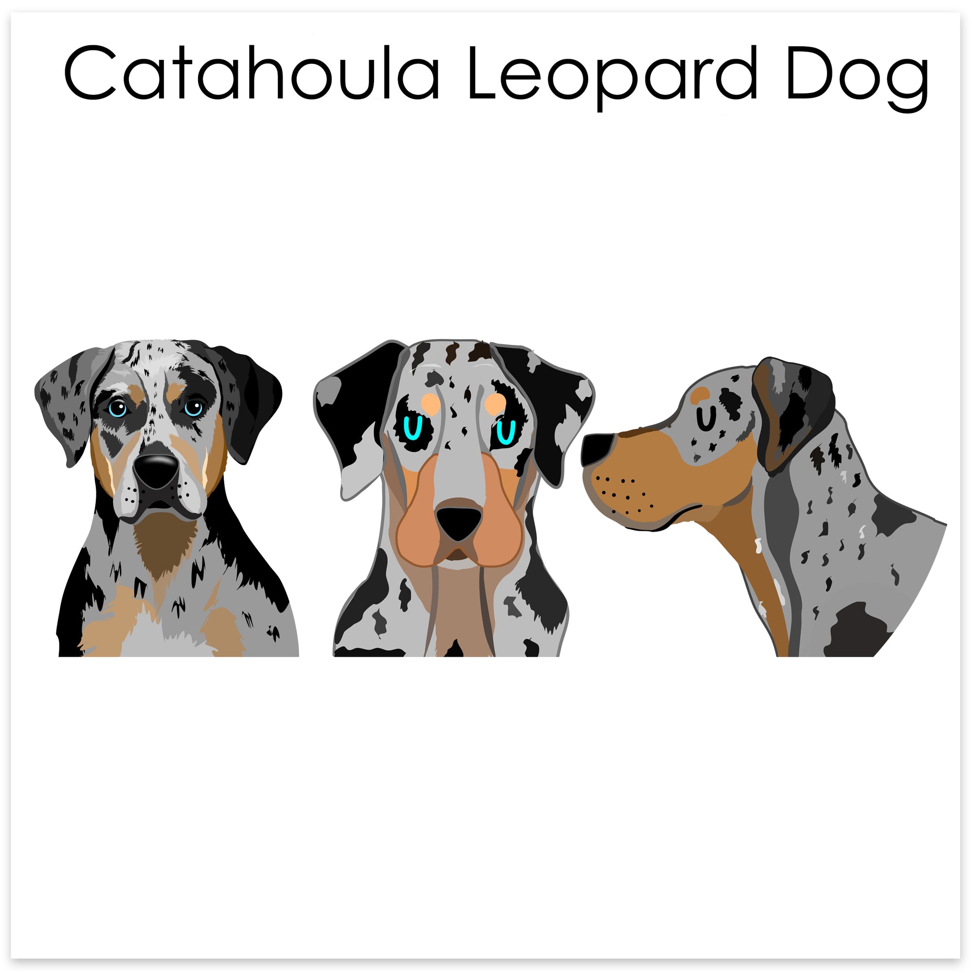 
    Catahoula Leopard Dog
  