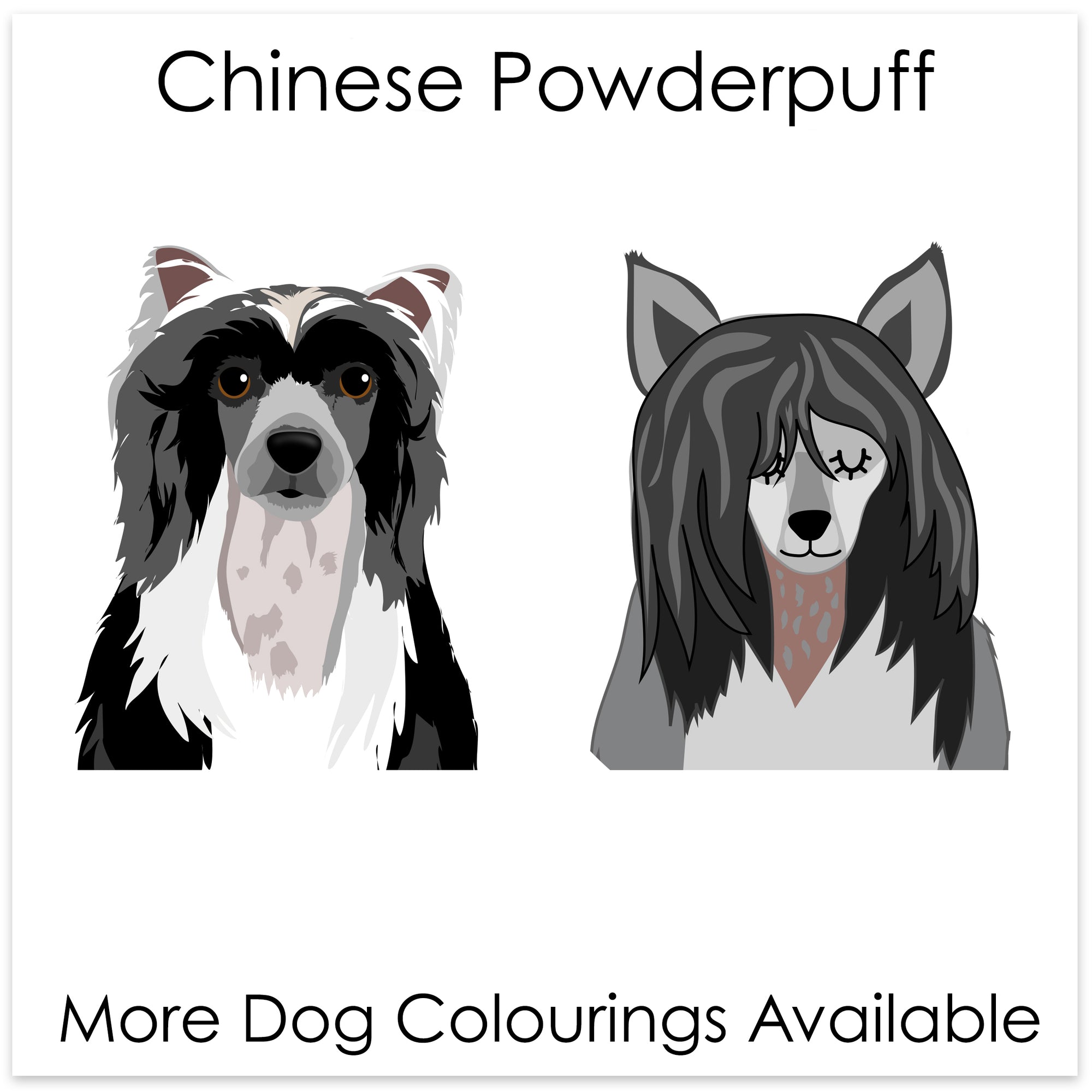 
    Chinese Powderpuff
  