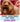 Shop Christmas Pet Tags