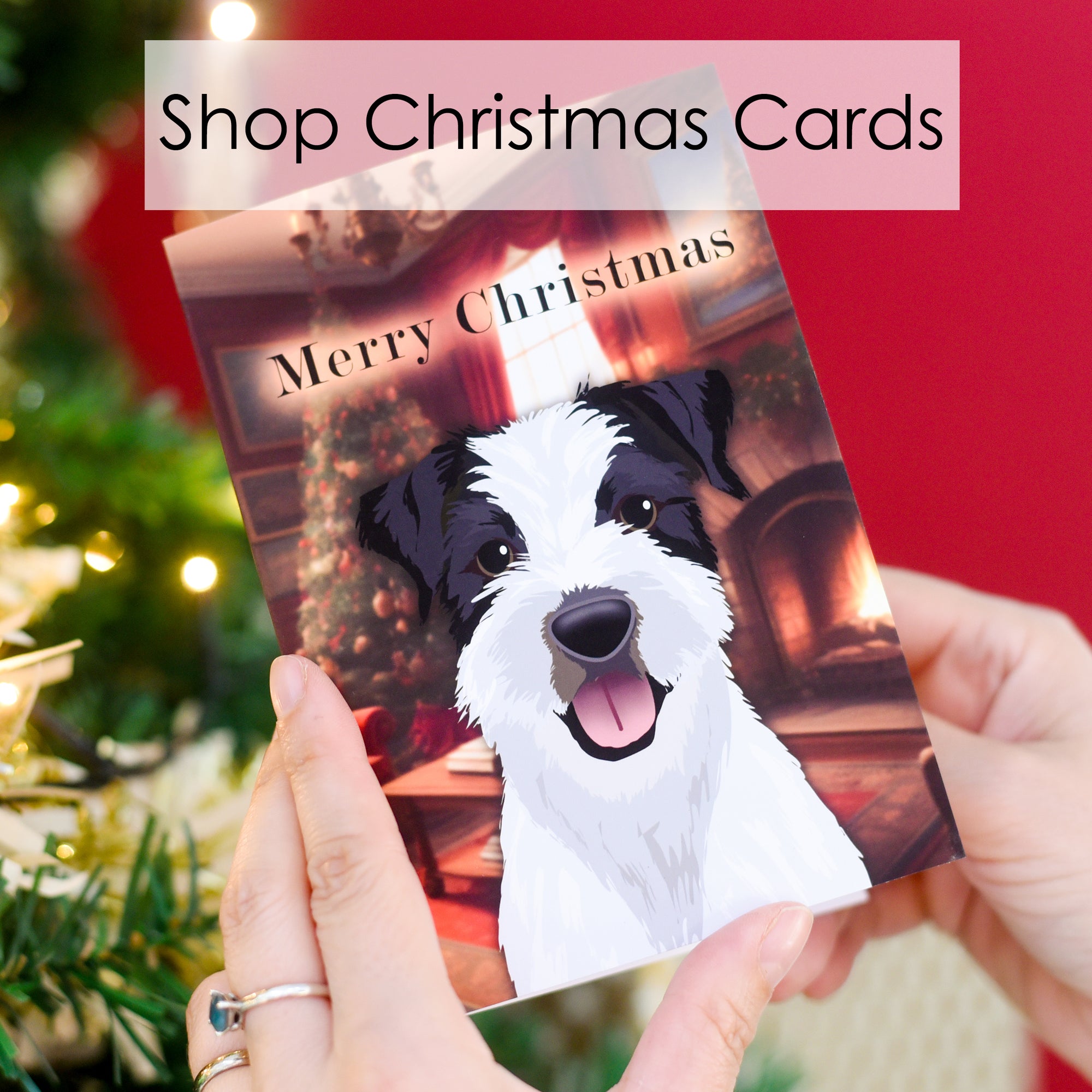 
    Shop Christmas Cards
  