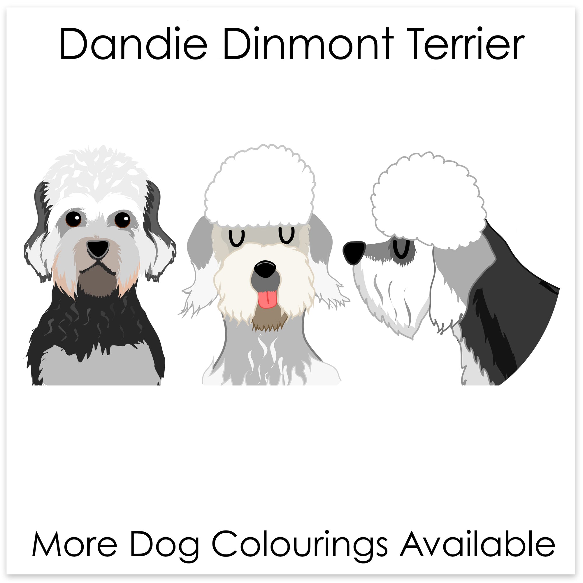 
    Dandie Dinmont Terrier
  