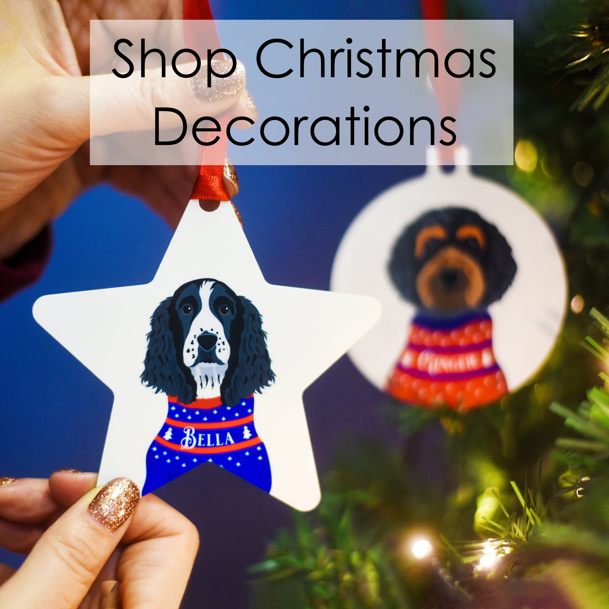 
    Shop Christmas Decorations
  