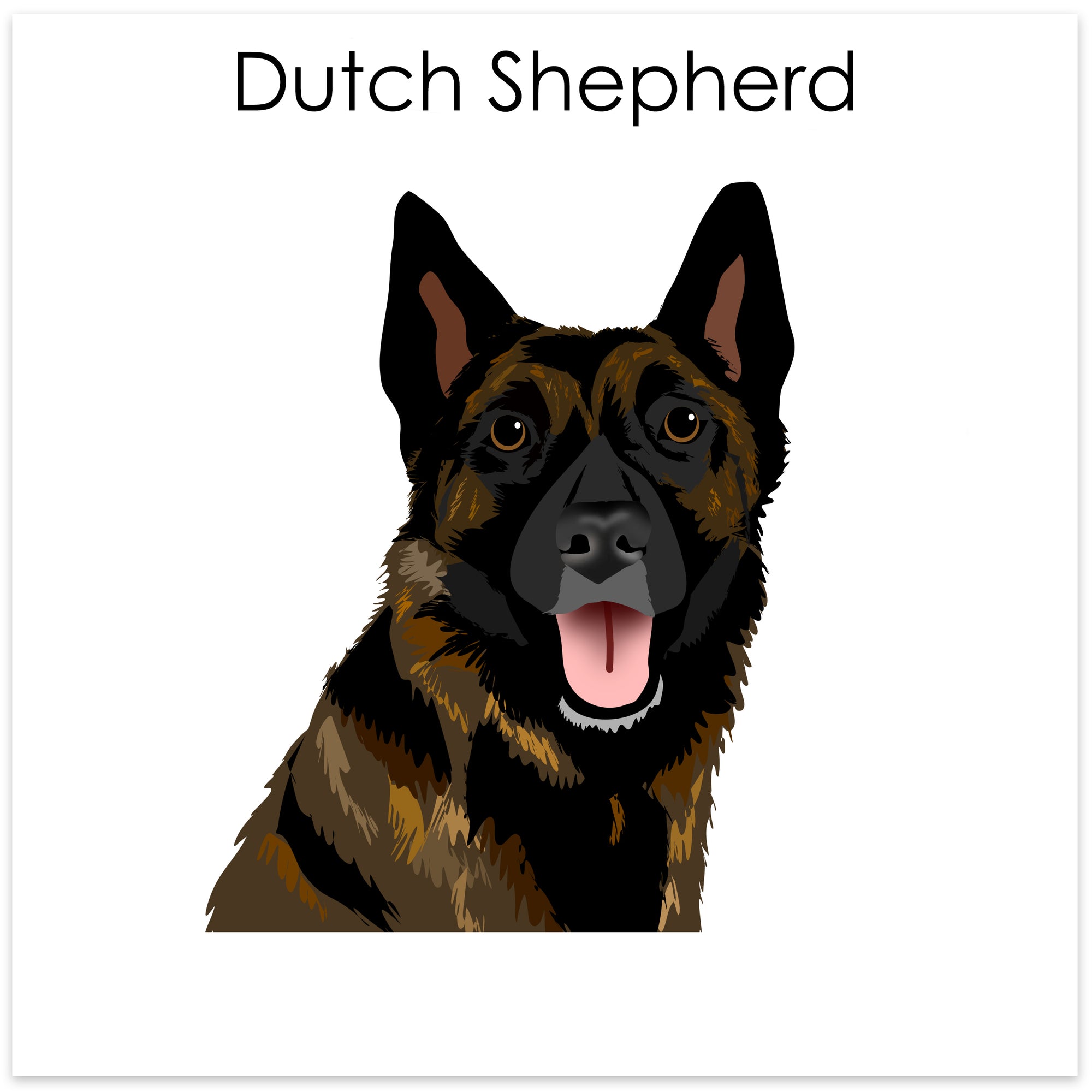 
    Dutch Shepherd
  