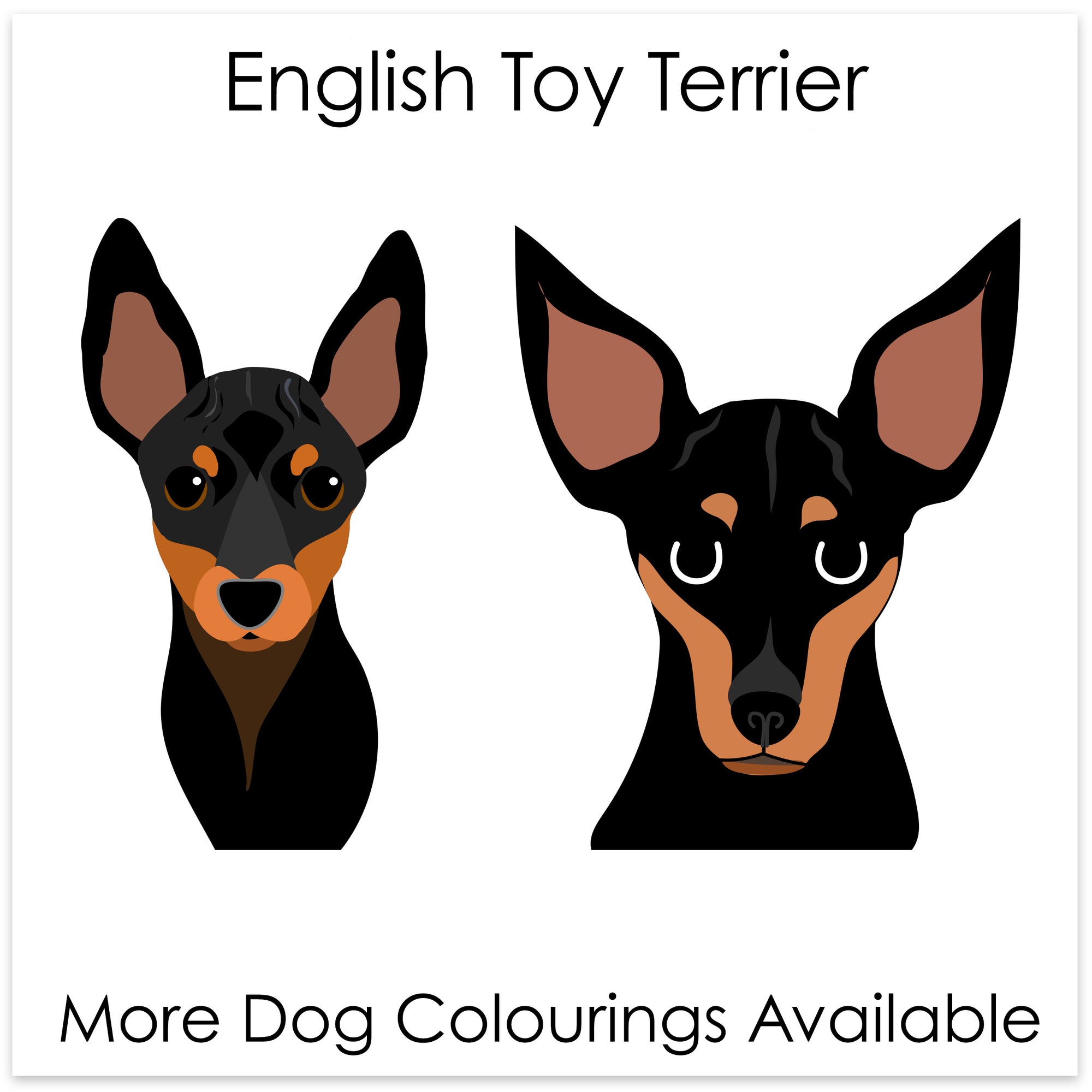 
    English Toy Terrier
  