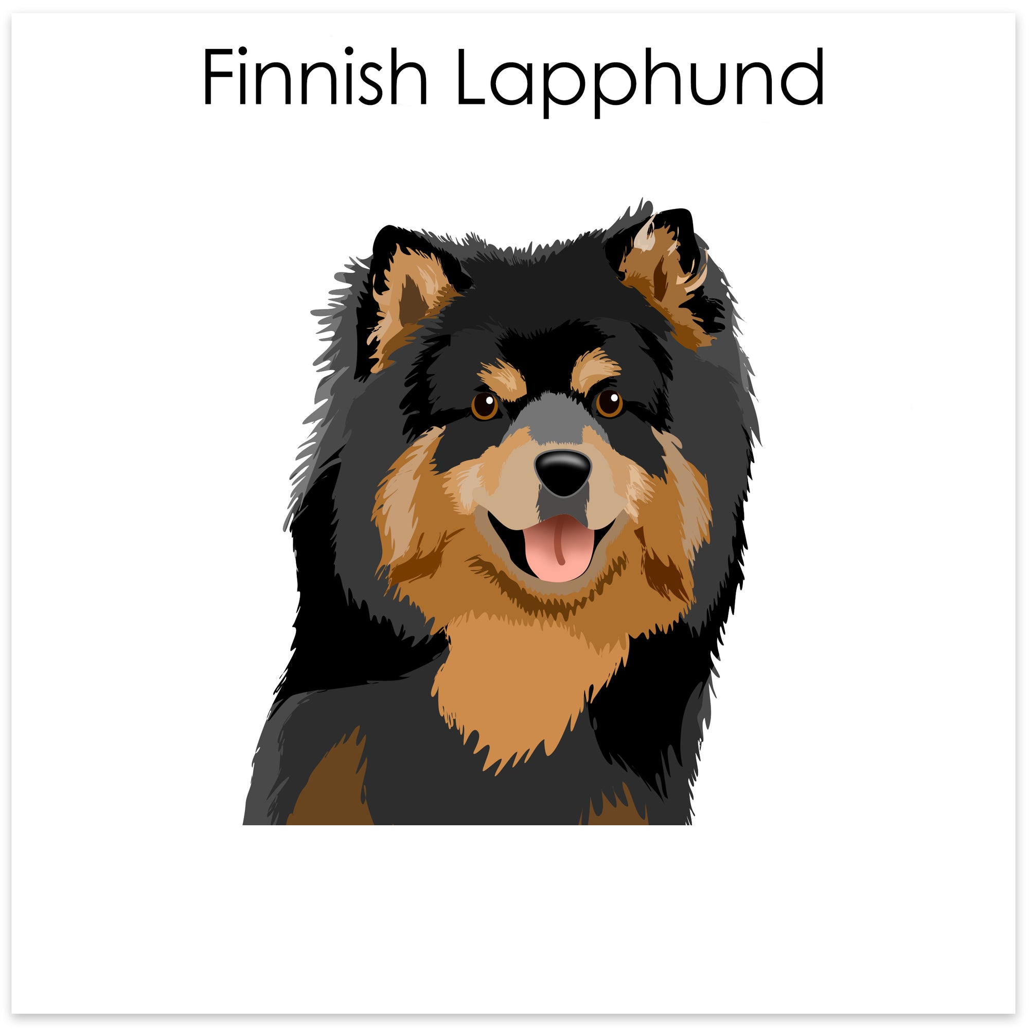 
    Finnish Lapphund
  