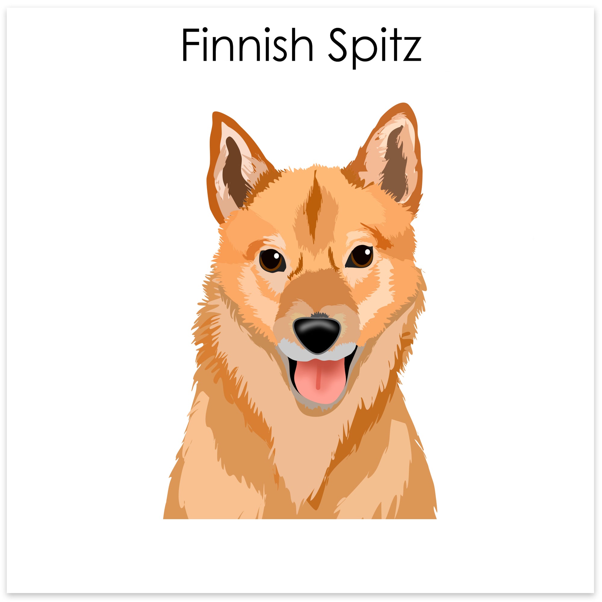 
    Finnish Spitz
  