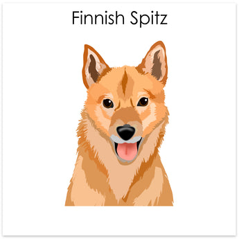 Finnish Spitz