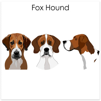 Fox Hound