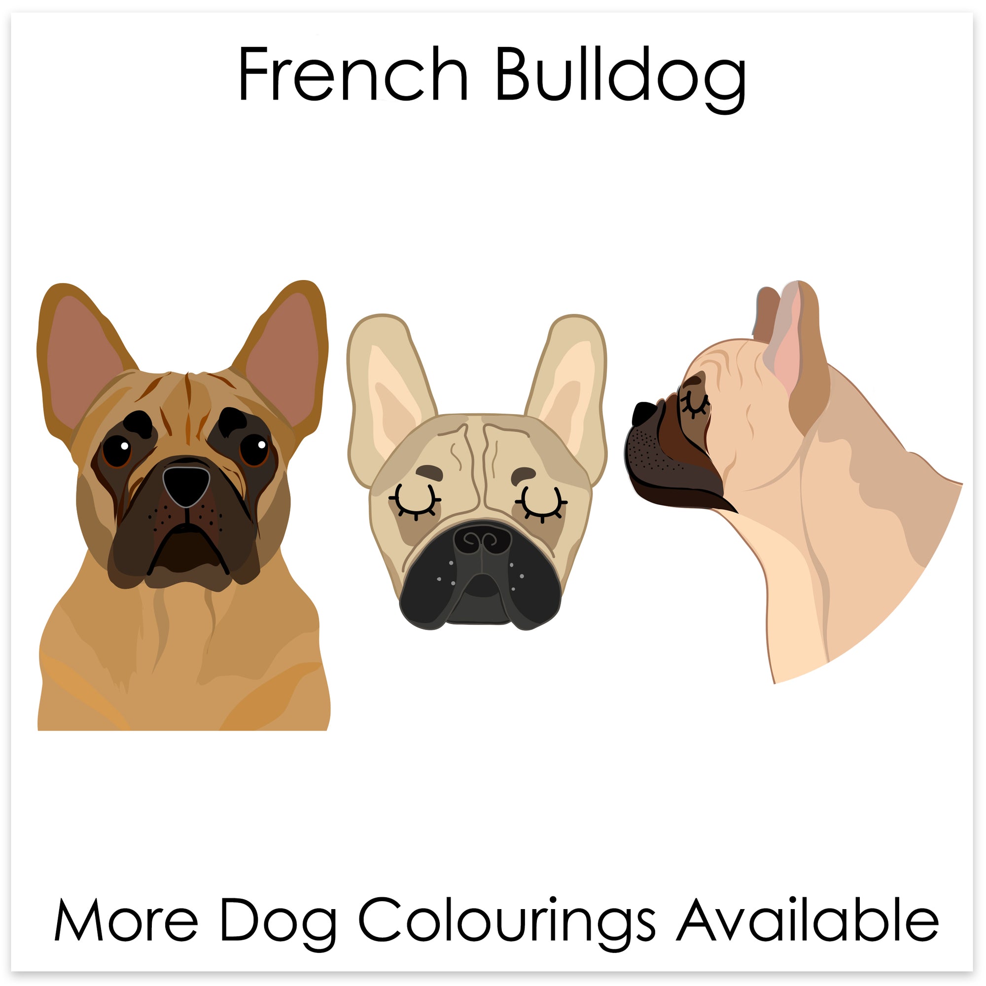 
    French Bulldog
  