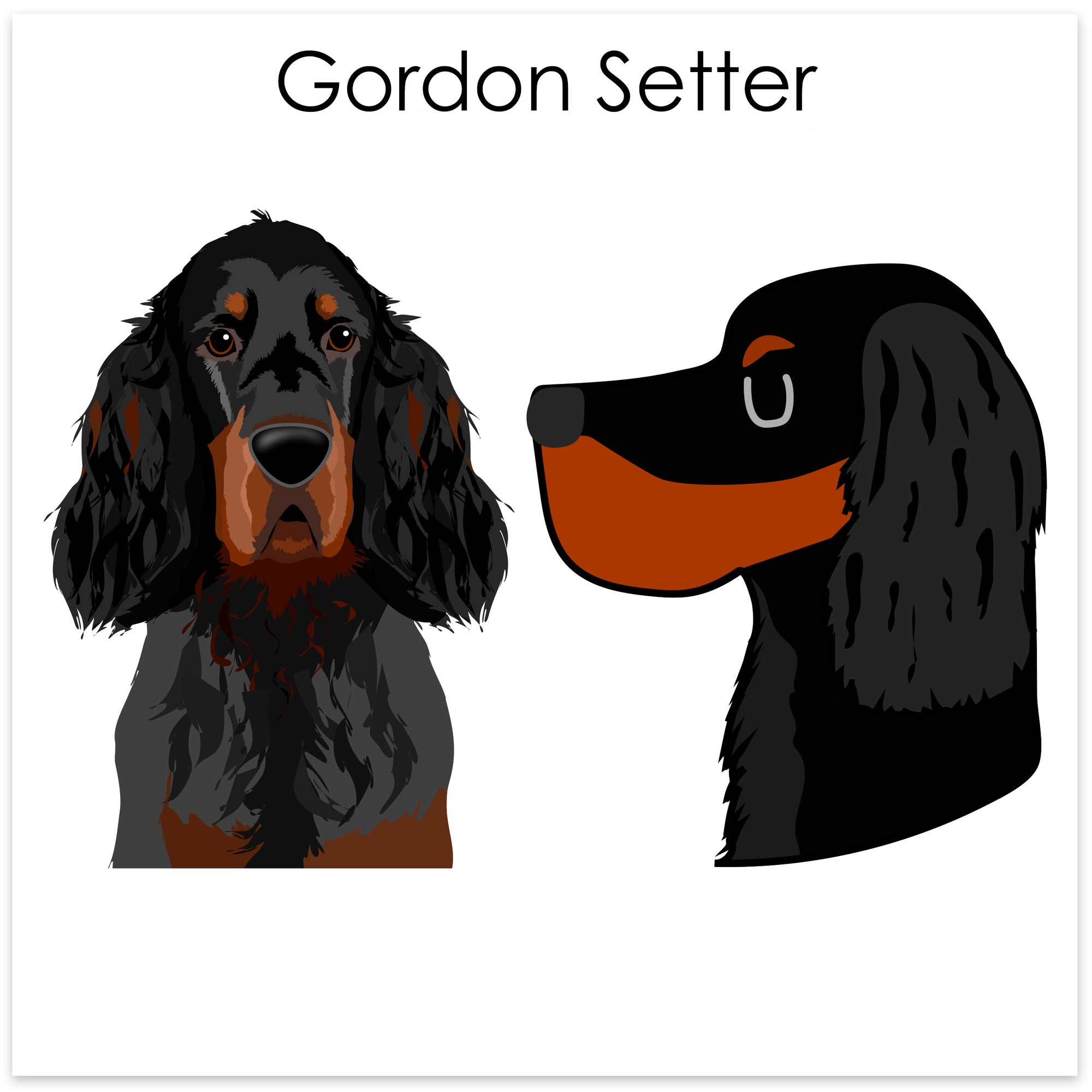 
    Gordon Setter
  