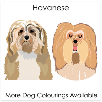 Havanese