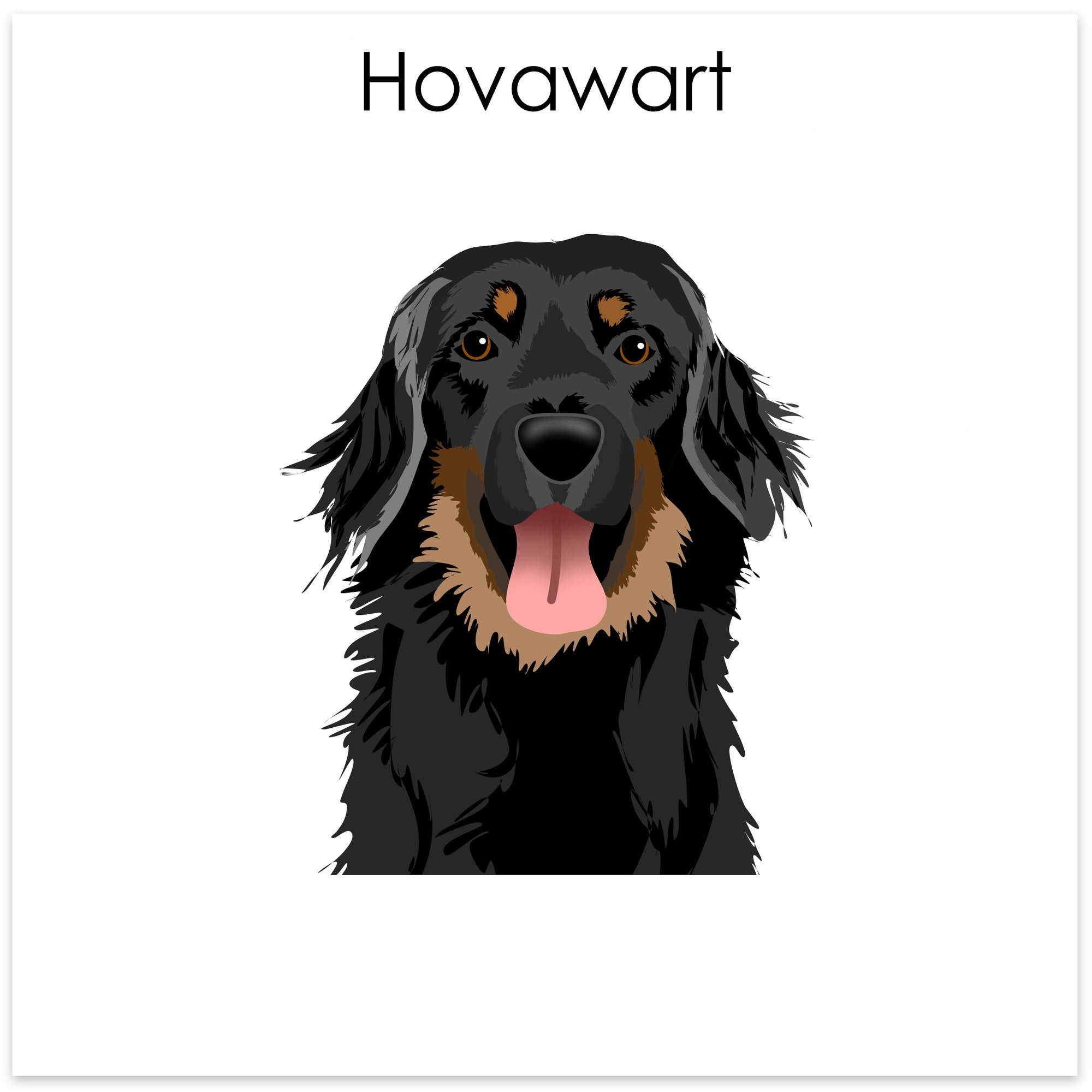 
    Hovawart
  