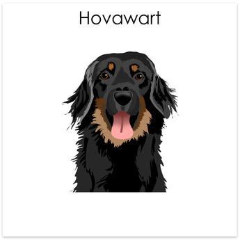 Hovawart