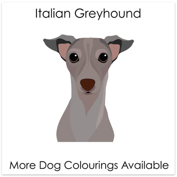 Italian Greyhound