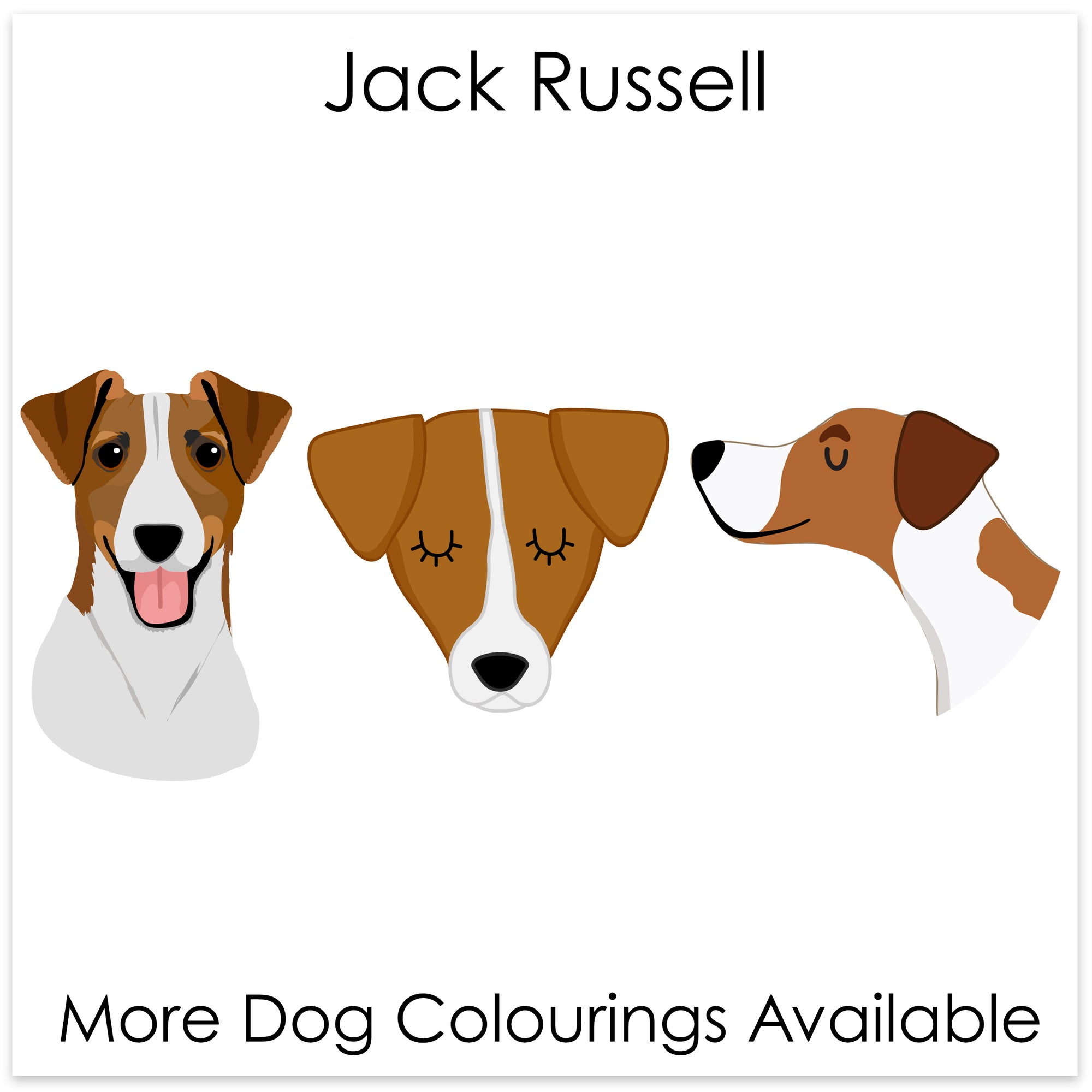 
    Jack Russell
  