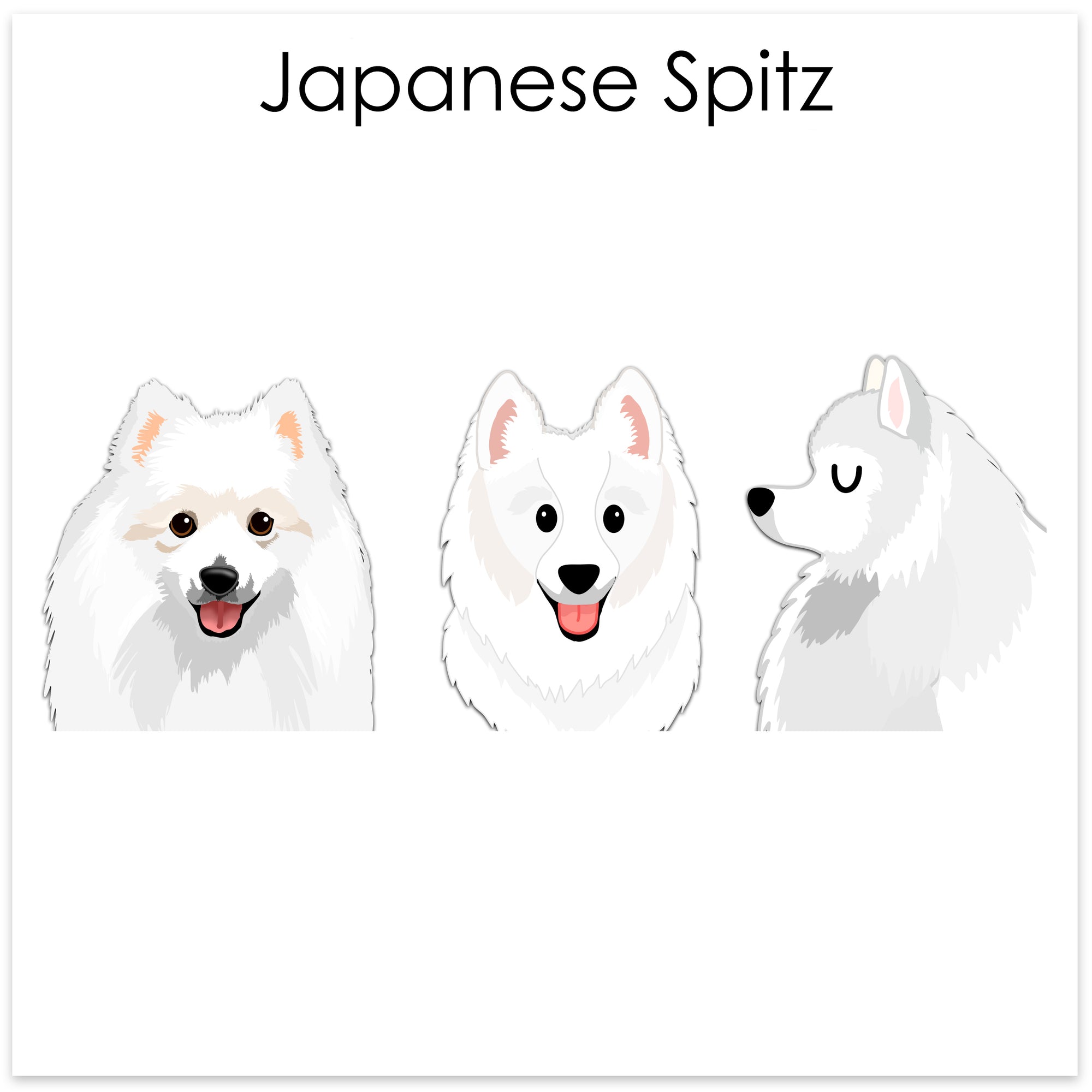 
    Japanese Spitz
  