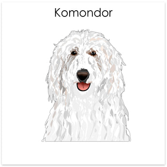 Komondor