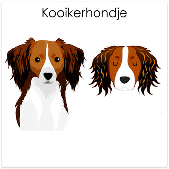 Kooikerhondje