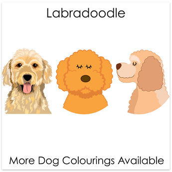 Labradoodle