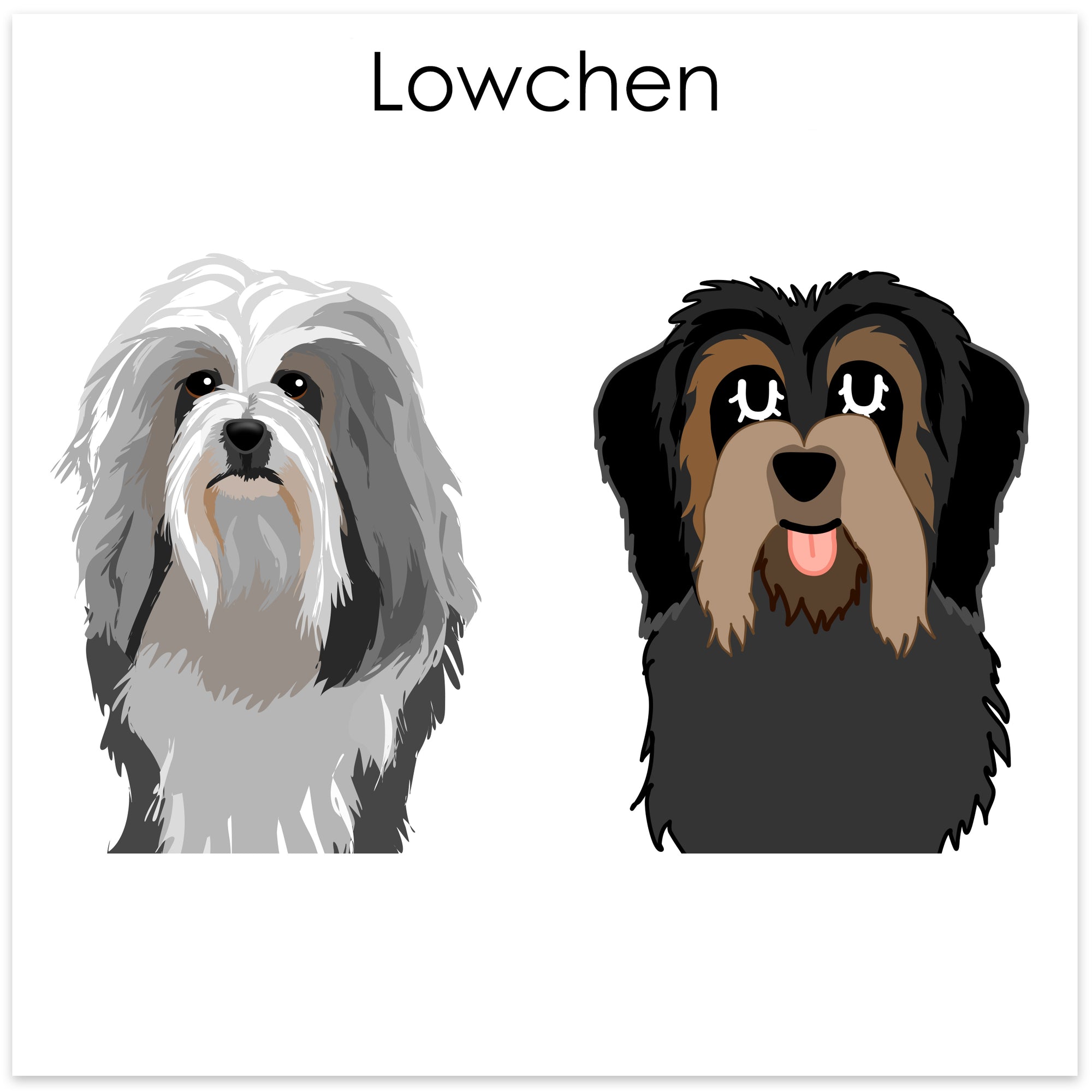 
    Lowchen
  
