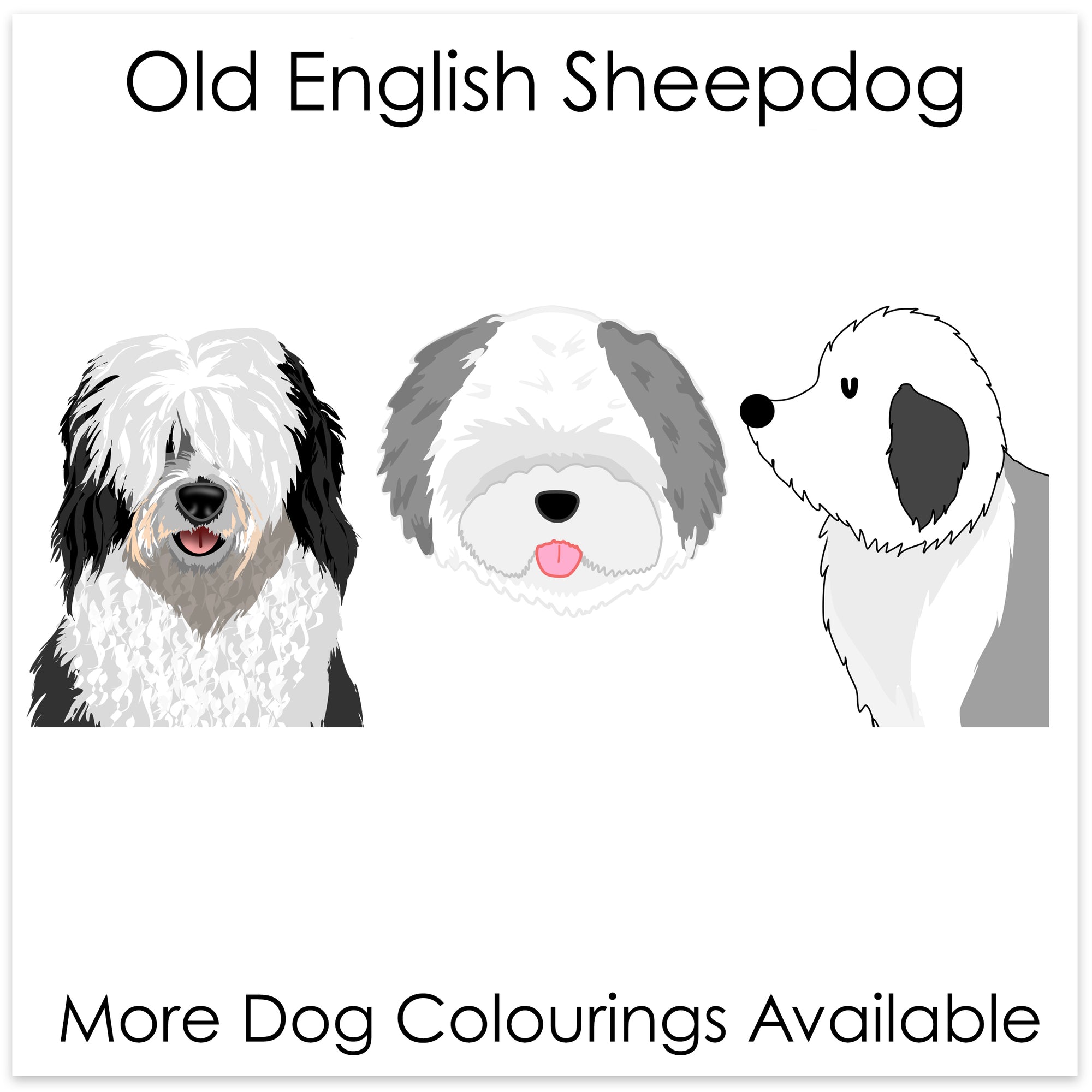 
    Old English Sheepdog
  