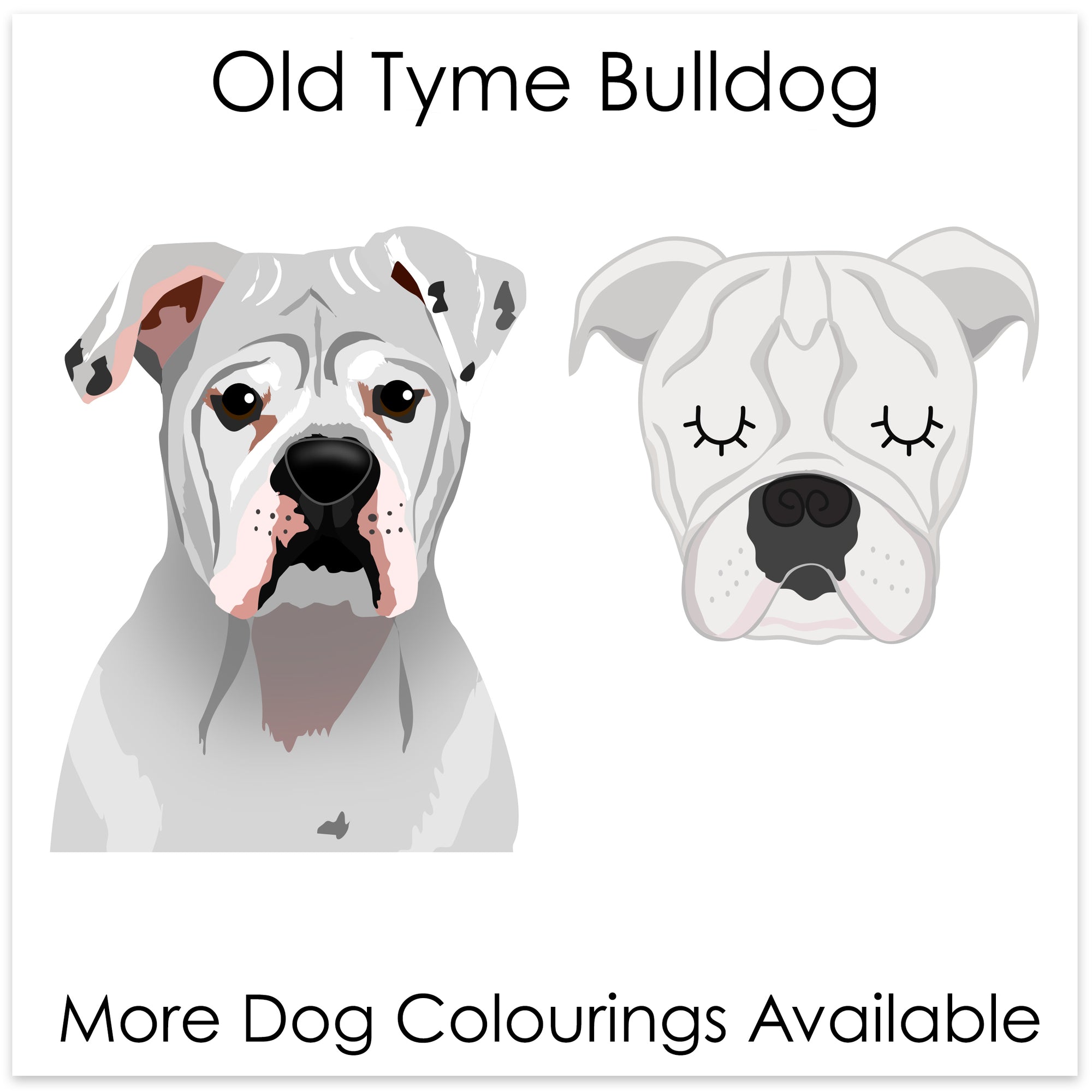 
    Olde Tyme Bulldog
  
