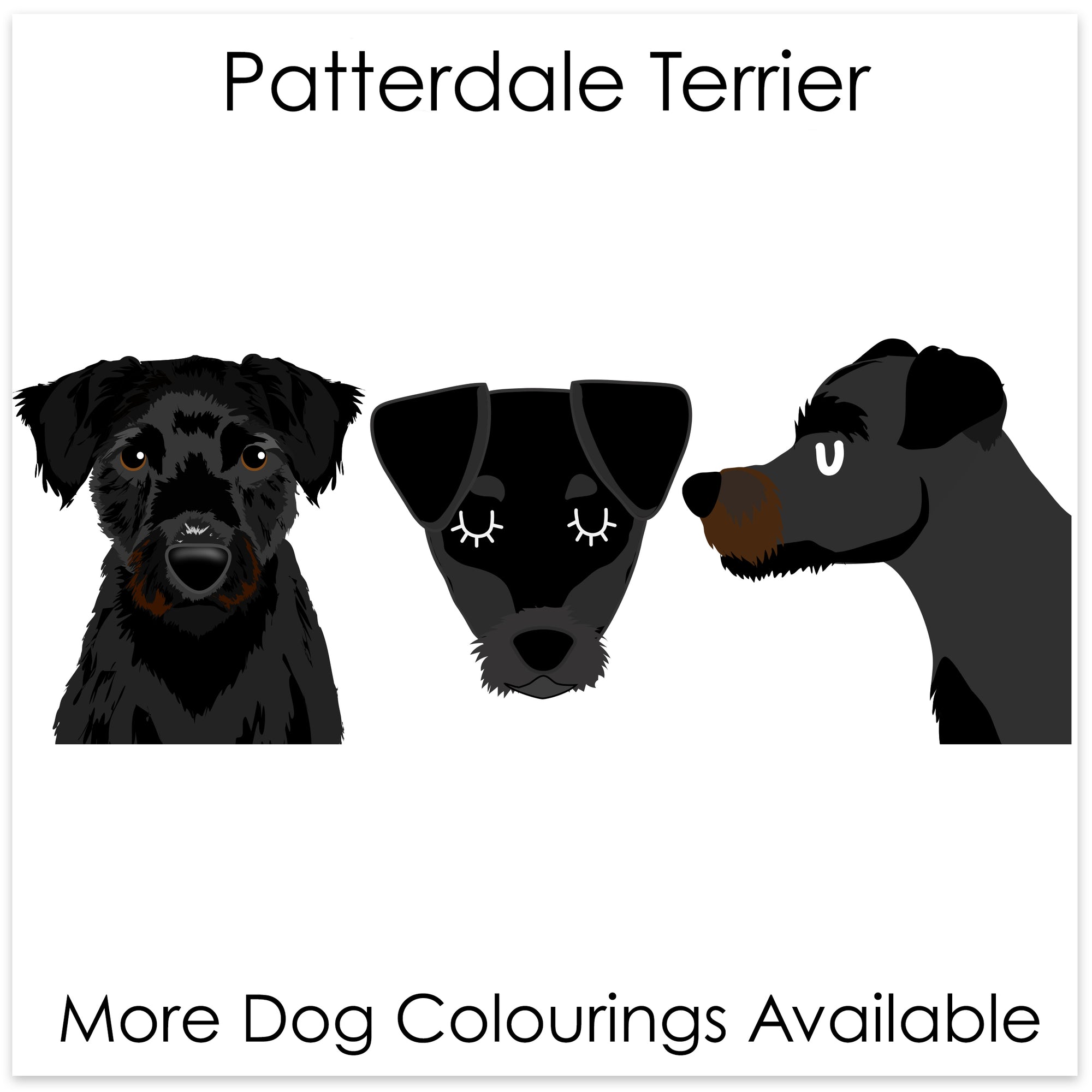 
    Patterdale Terrier
  