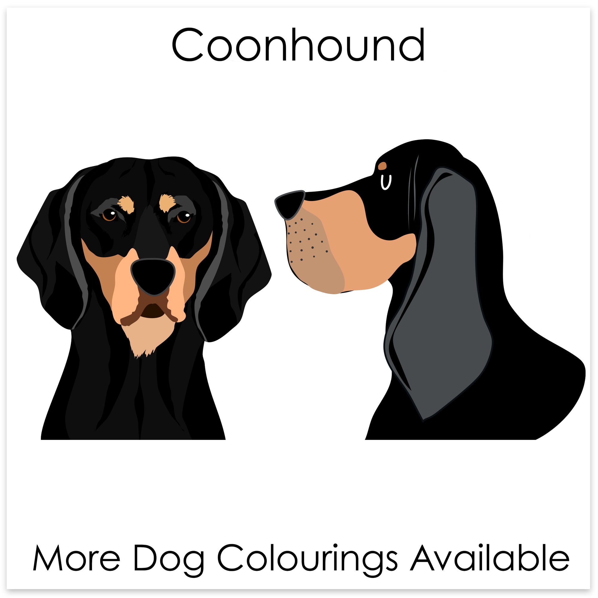
    Coonhound
  