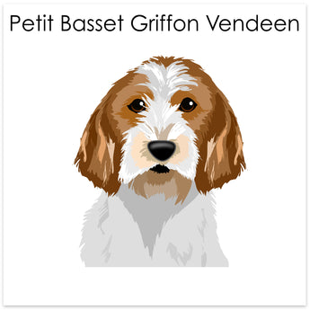 Petit Basset Griffon Vendeen