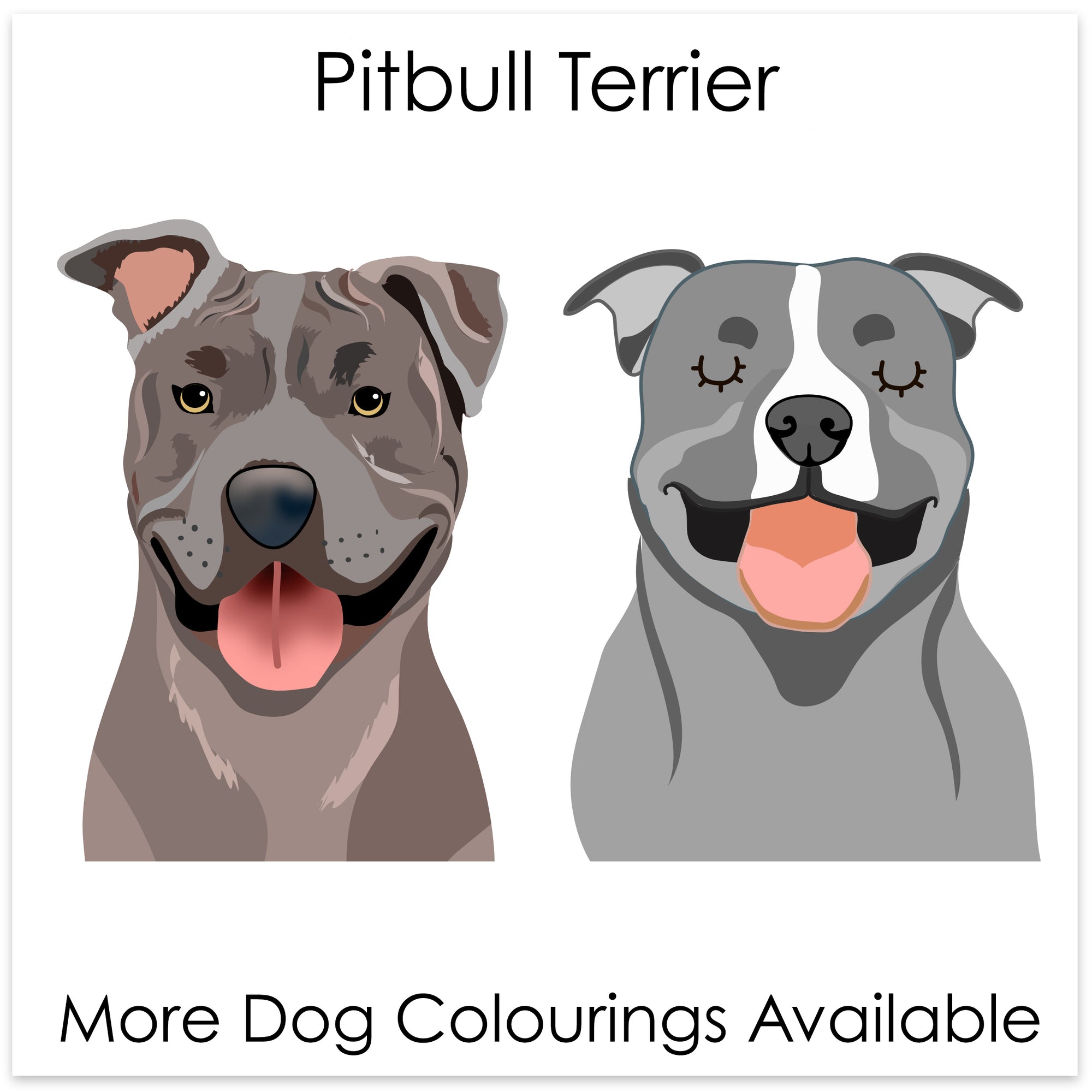 
    Pitbull Terrier
  