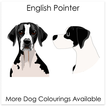 English Pointer