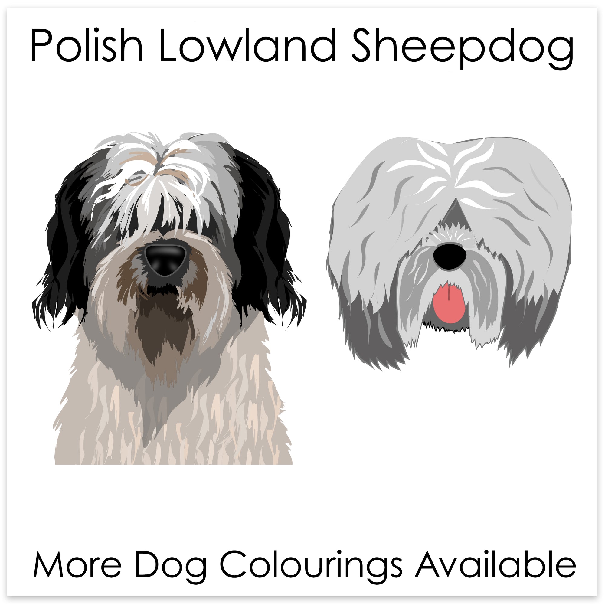
    Polish Lowland Sheepdog
  
