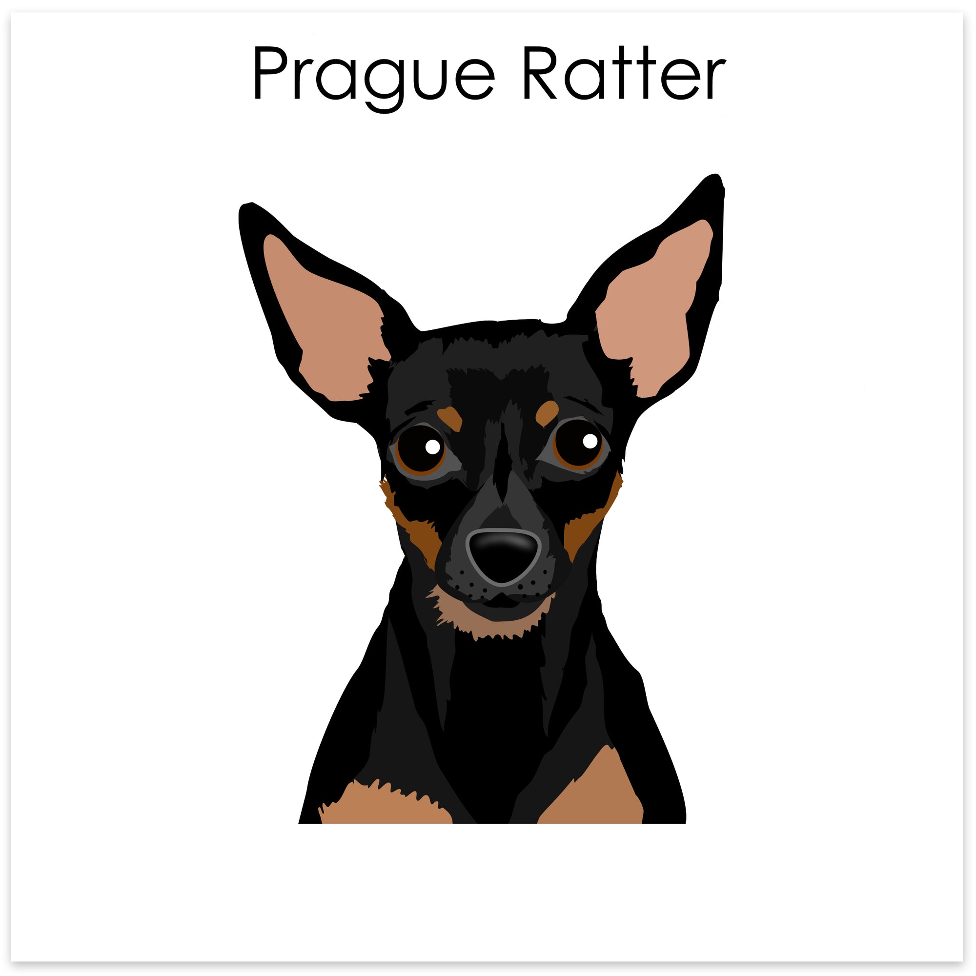
    Prague Ratter
  