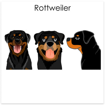 Rottweiler