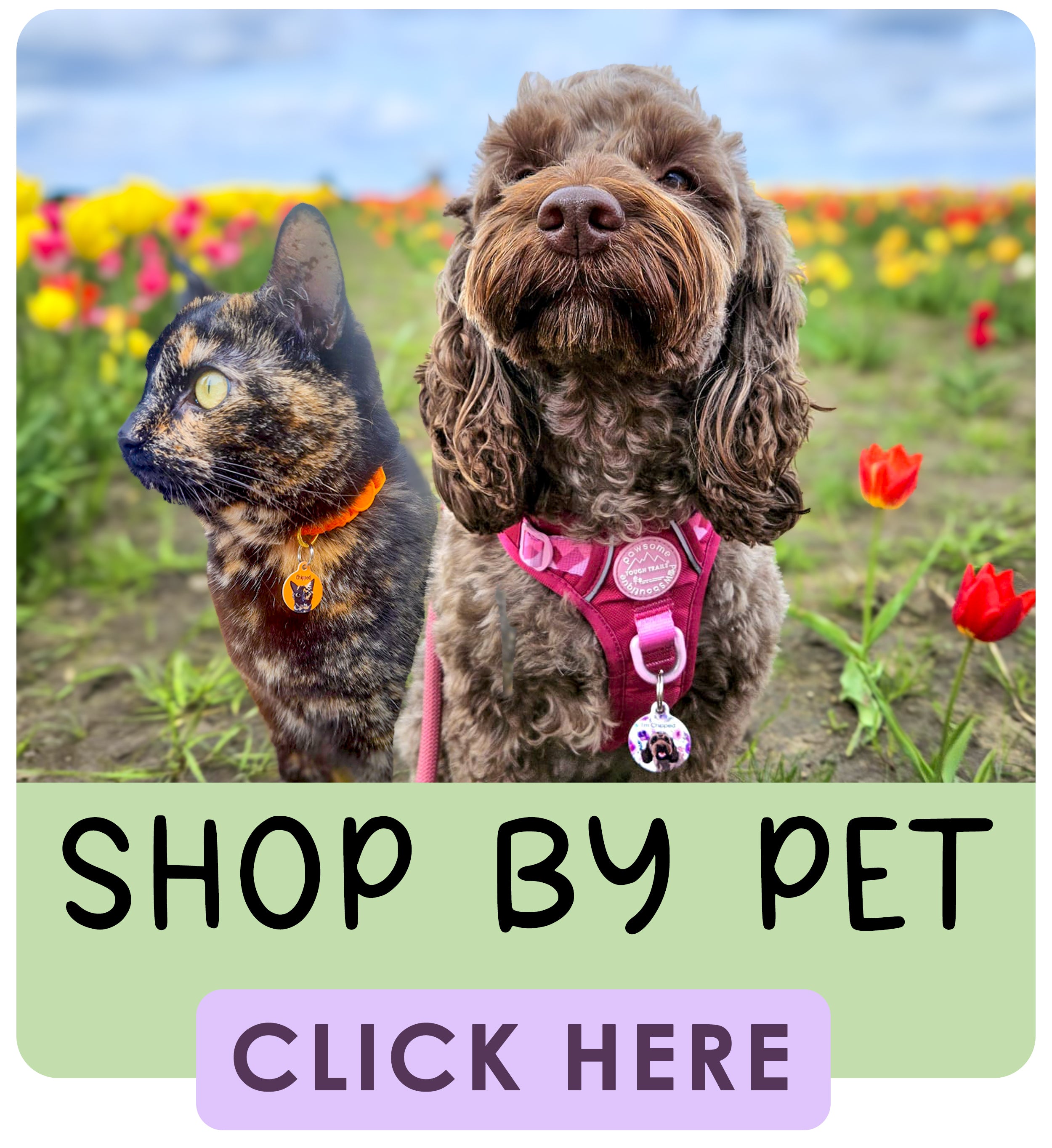 Shop by Pet