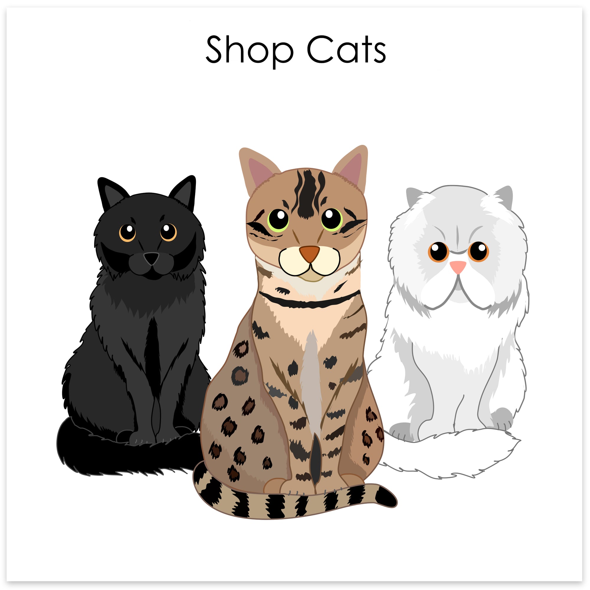 
    Shop Cats
  