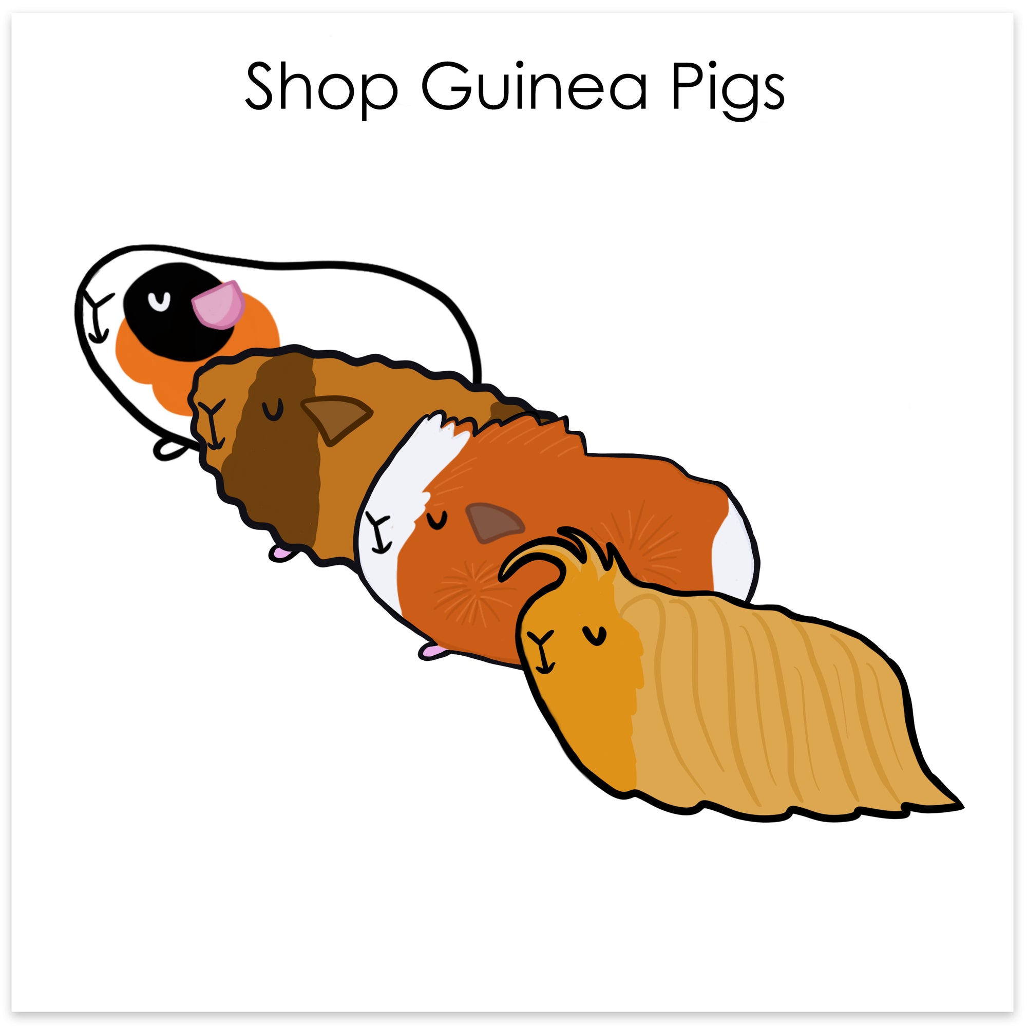 
    Shop Guinea Pigs
  