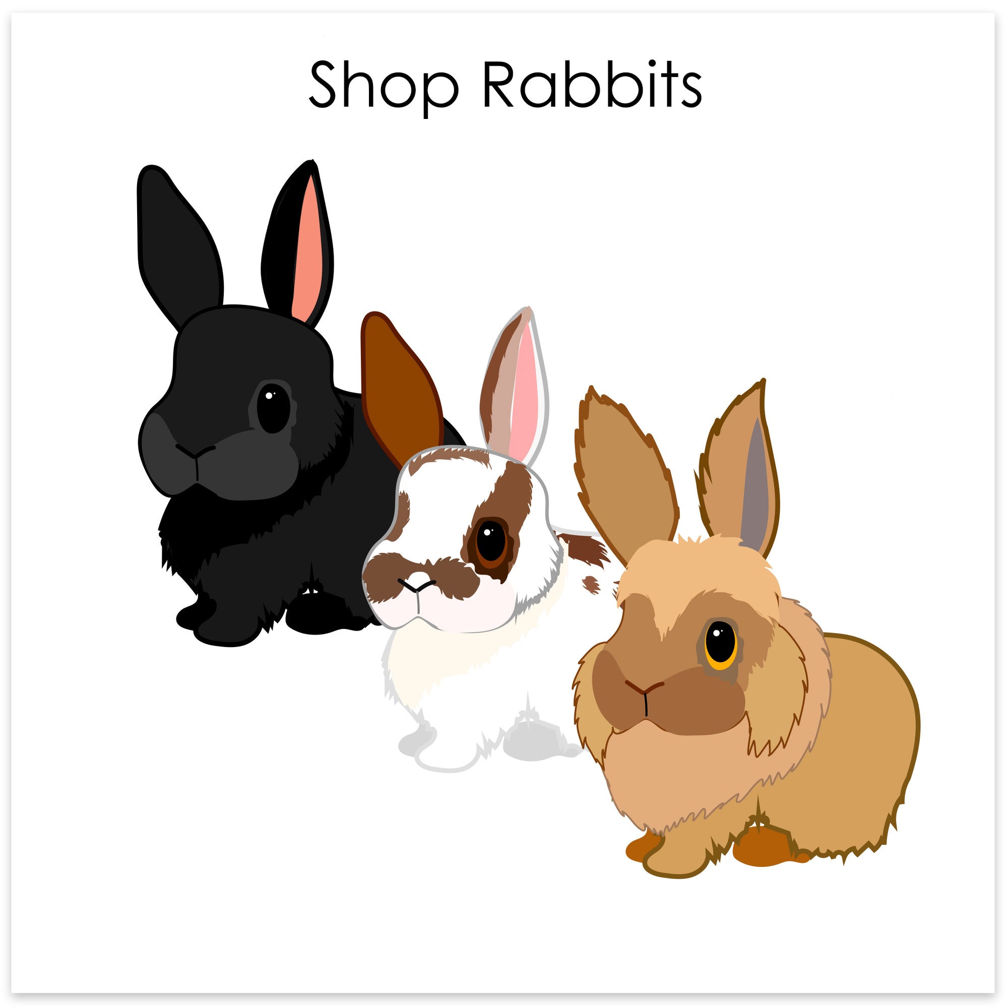 
    Shop Rabbits
  