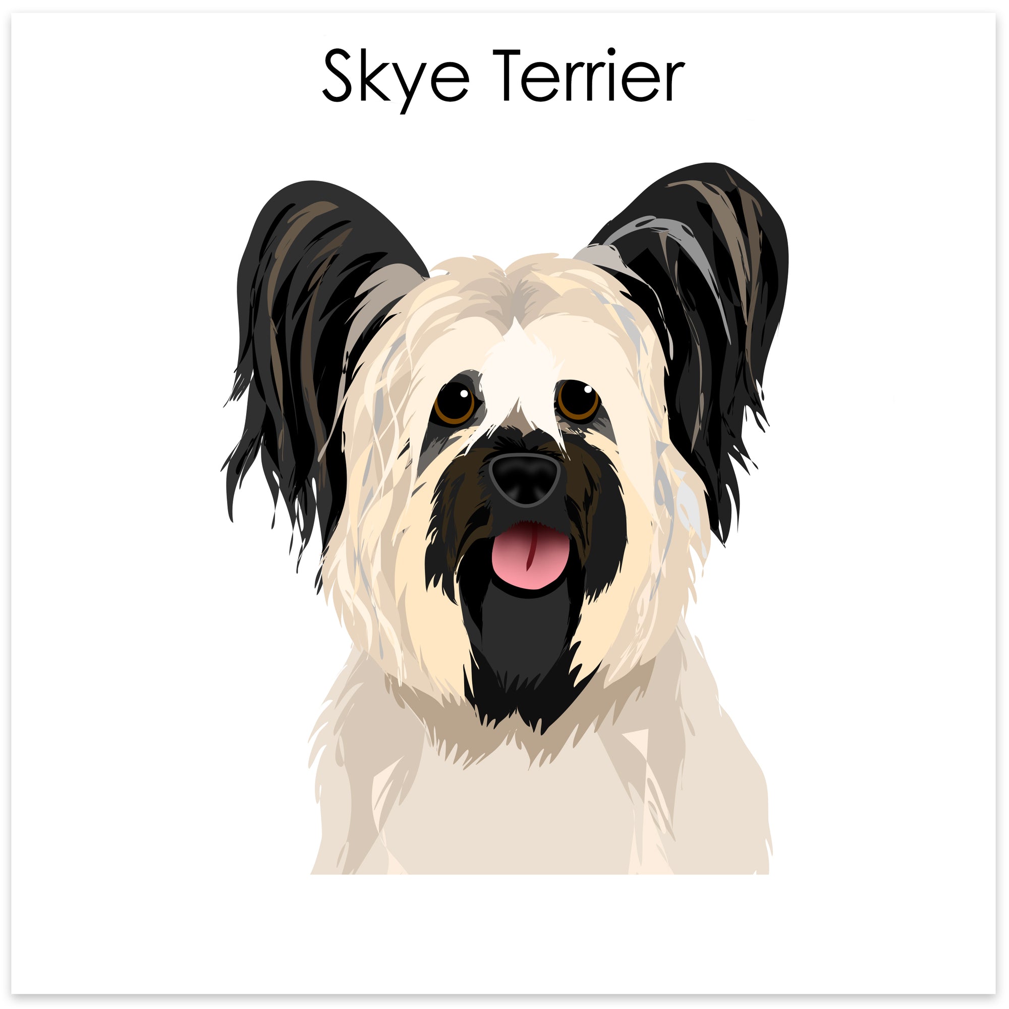 
    Skye Terrier
  