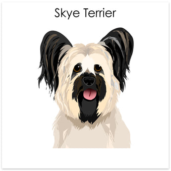 Skye Terrier