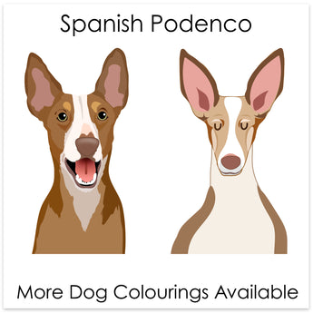 Spanish Podenco