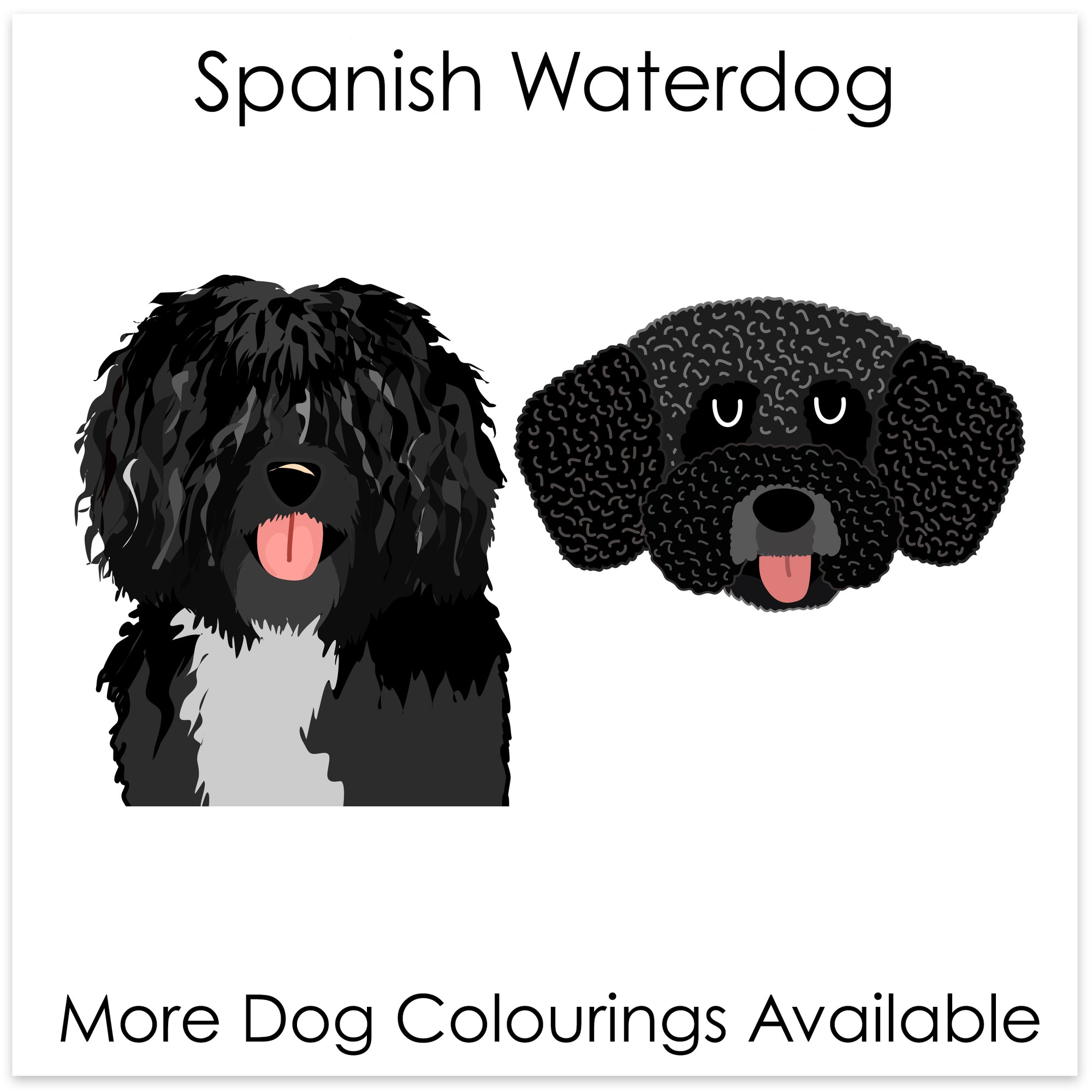
    Spanish Waterdog
  