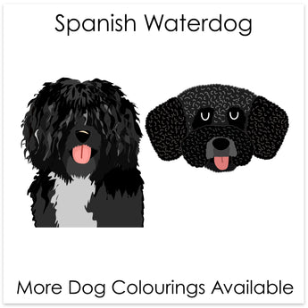 spanish waterdog