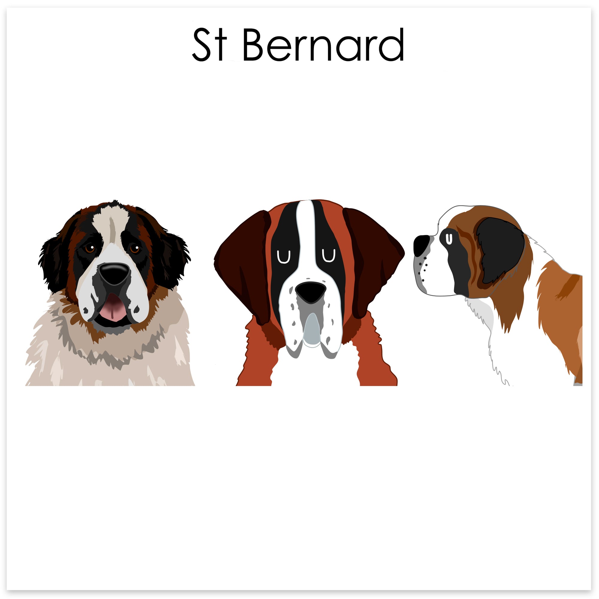 
    St Bernard
  