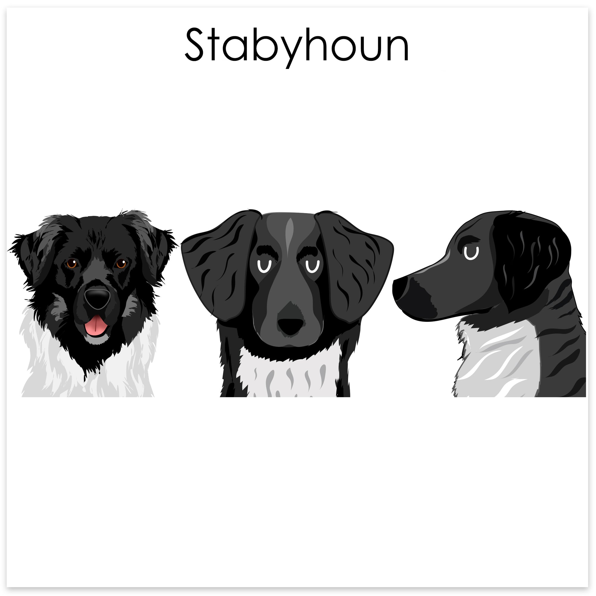 
    Stabyhoun
  