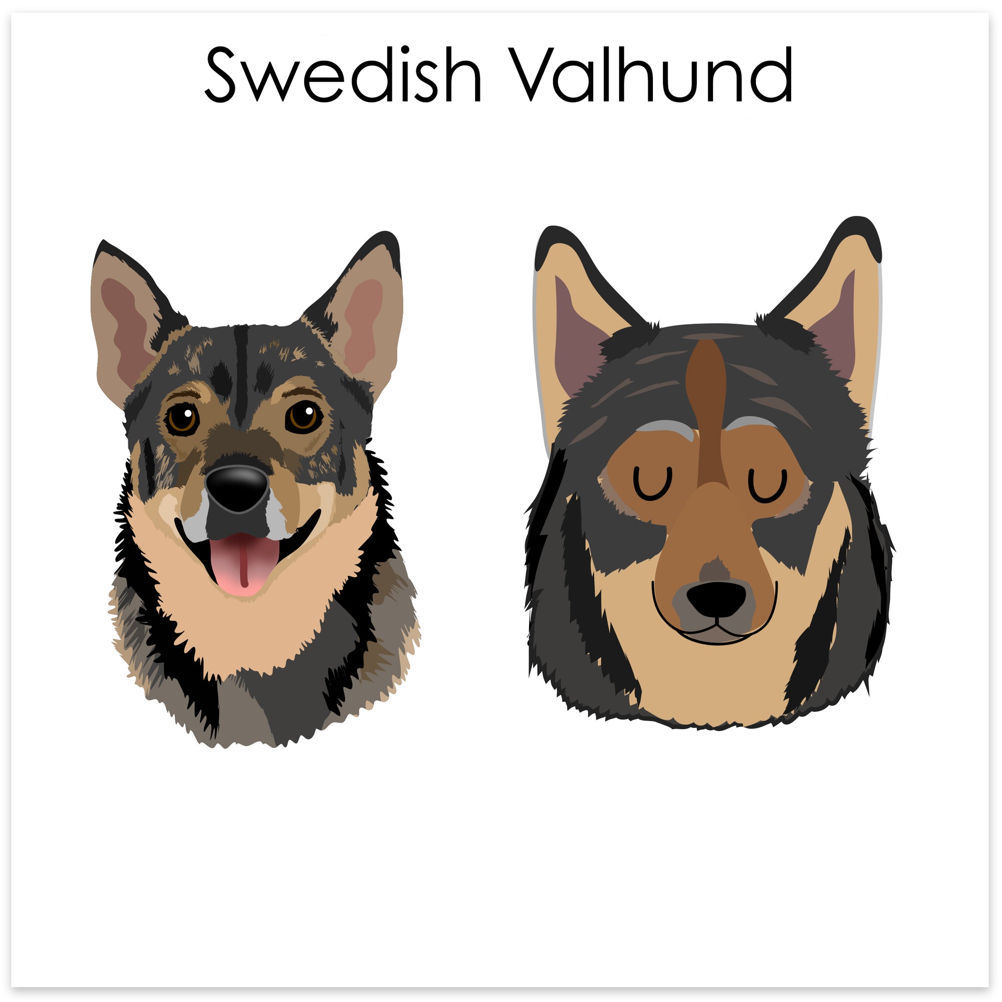 
    Swedish Valhund
  