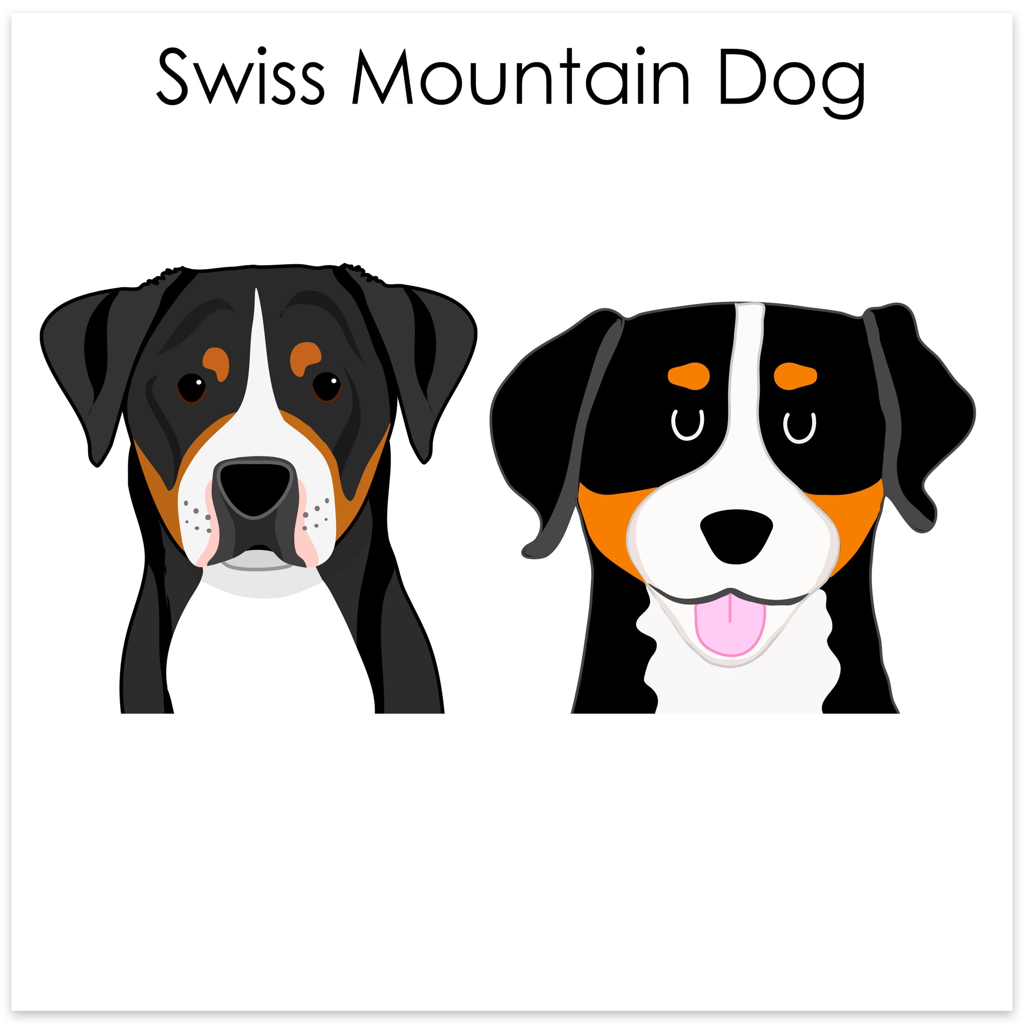 
    Swiss Mountain Dog
  